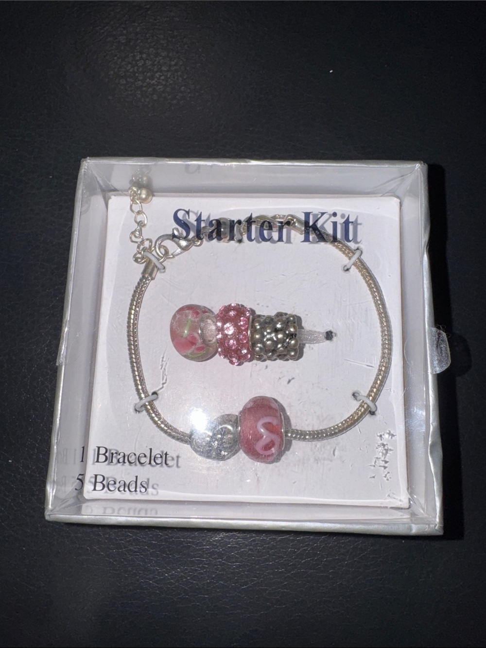 NWT Charm Bracelet Starter Kit